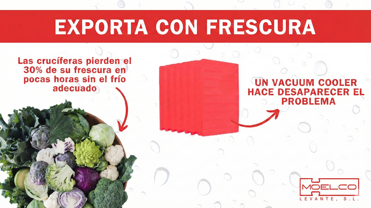 Vacuum Cooling para reducir pérdidas en hortalizas de hoja y crucíferas.png